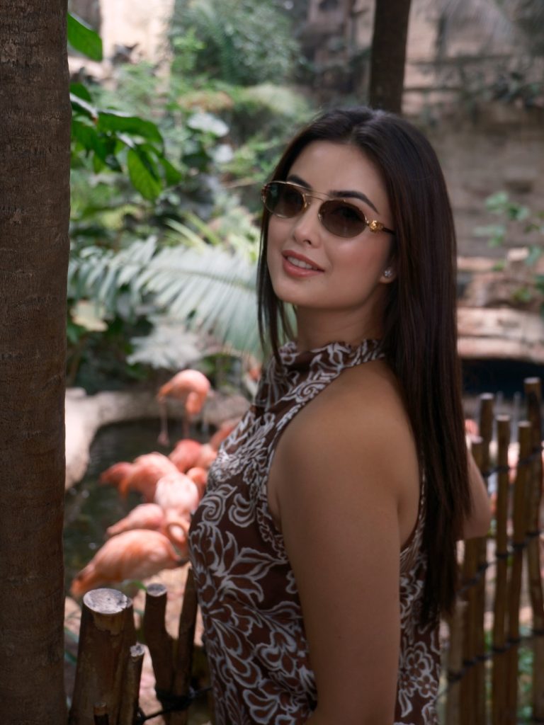 Niti shah biography
