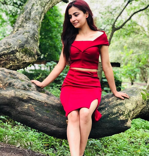 Nishan Bhattarai wife Reecha Neupane